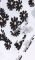 Плаття "Wallot" white+ flowers