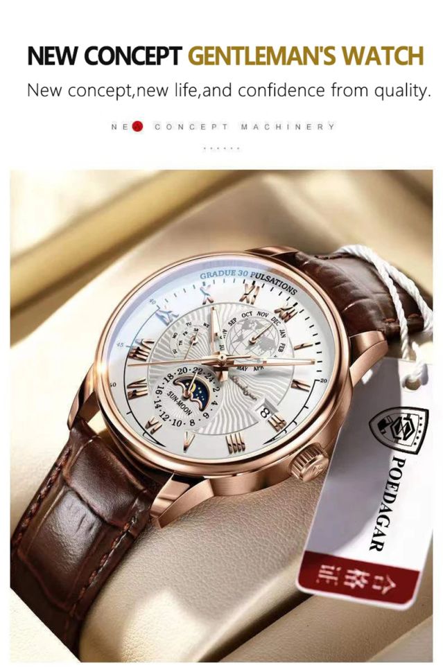Чоловічий годинник POEDAGAR brown + gold + black