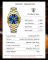 Чоловічий годинник Poedagar  gold+blue