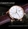 Чоловічий годинник механічний Forsining white + gold