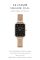 Жіночий годинник Hannah Martin gold + black